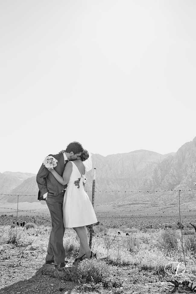 las vegas photographer wedding